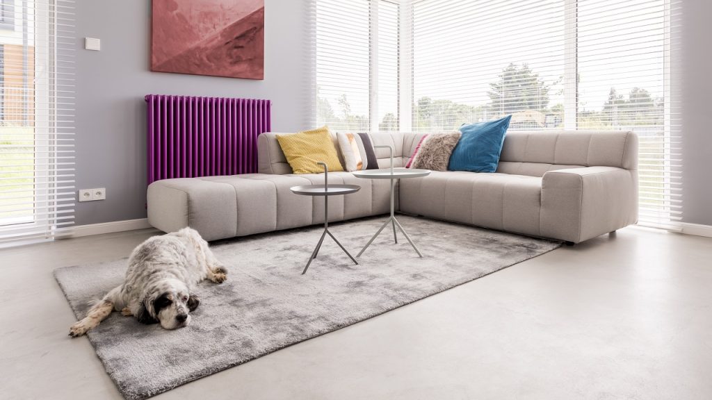 Dog laying on a soft gray rug made from soft materials in a modern design living room