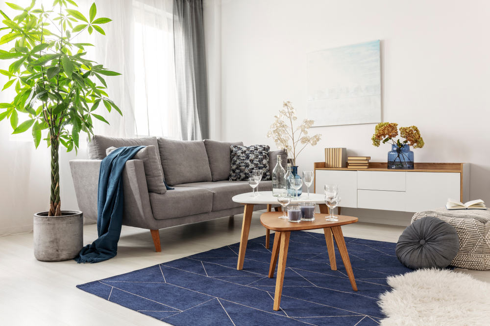 20 Best Navy and White Rugs