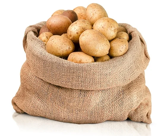 Burlap sack holding potatoes with a white background