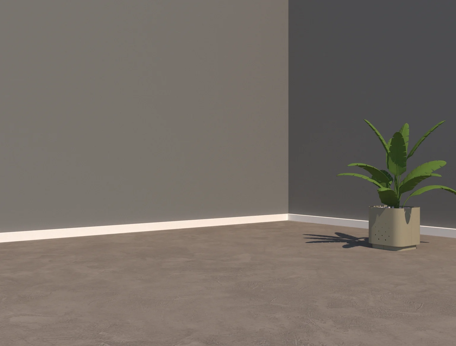 Polished Concrete floors and grey walls