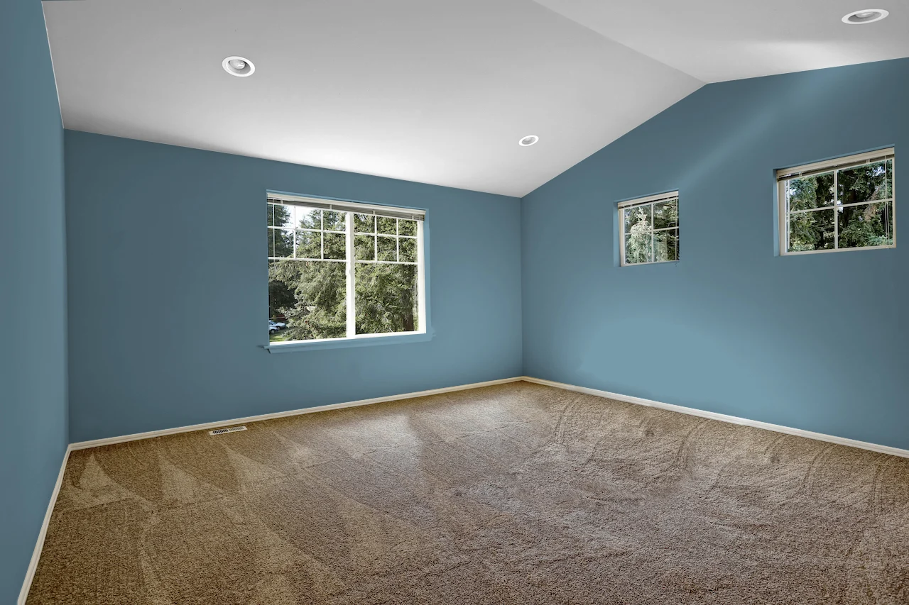 blue walls with brown carpet