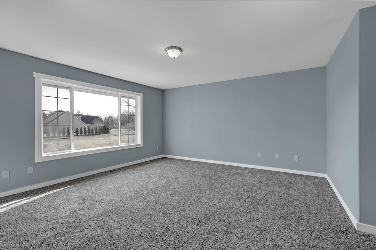 Top 11 Wall Colors to Complement a Gray Carpet Homely Rugs