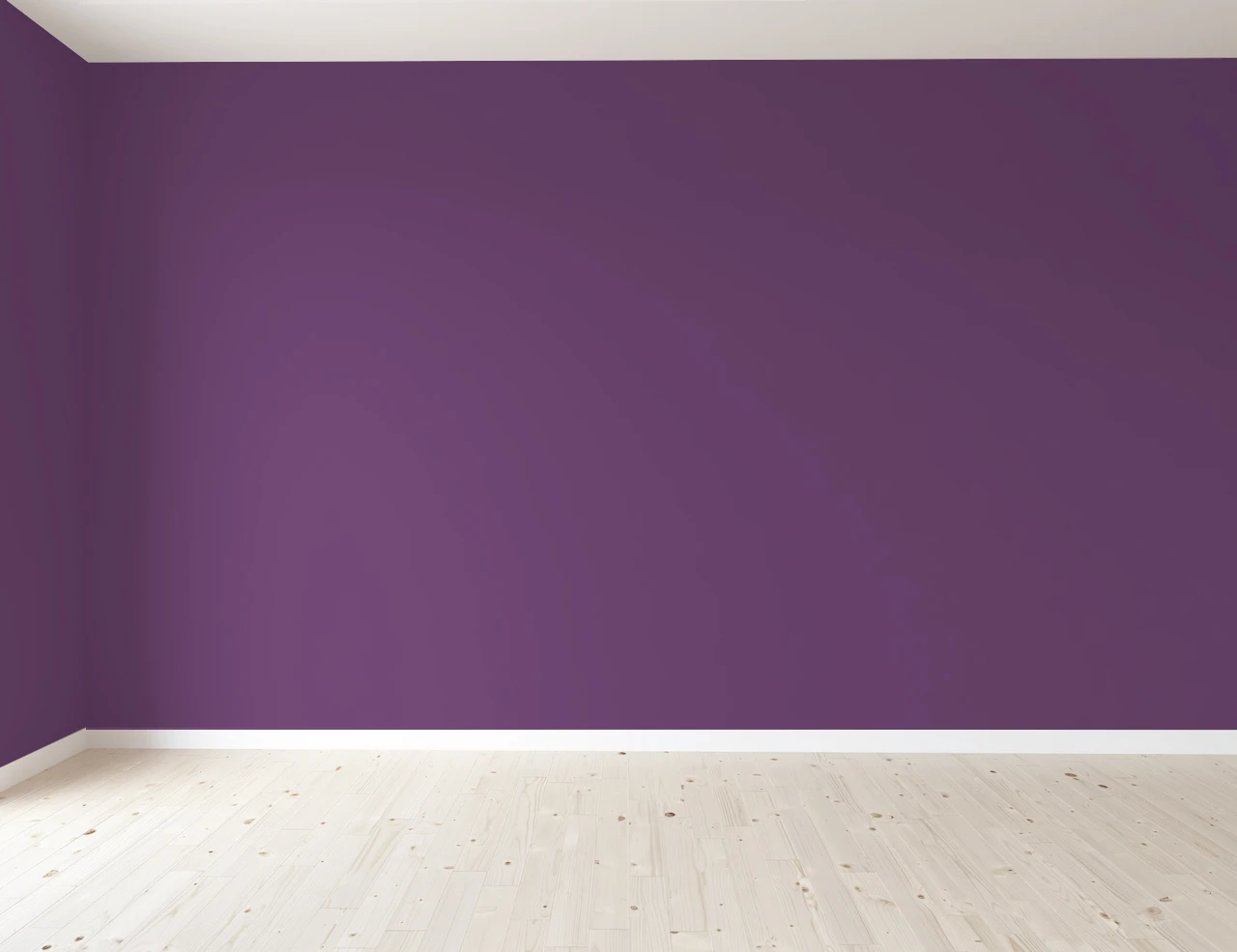 purple walls with light hardwood floors